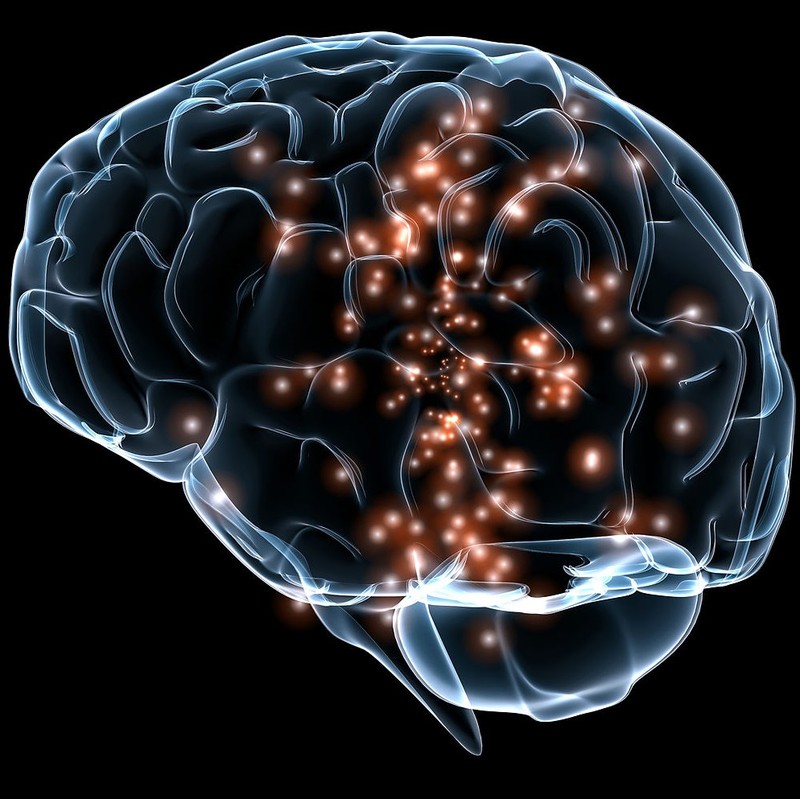 An illustration of neuronal activity in the brain. An illustration of neuronal activity in the brain.